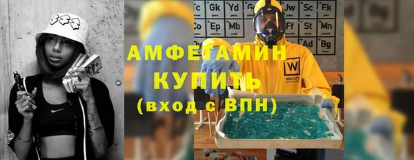 твердый Вяземский