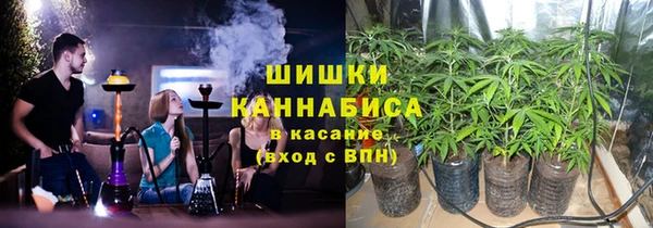 крисы Белая Холуница