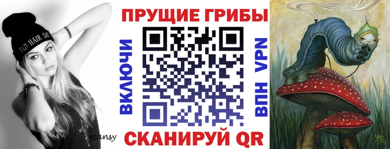 сколько стоит Зеленогорск гидра онион Галлюциногенные грибы MAGIC MUSHROOMS