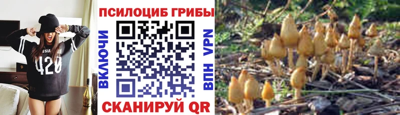 Галлюциногенные грибы GOLDEN TEACHER Зеленогорск